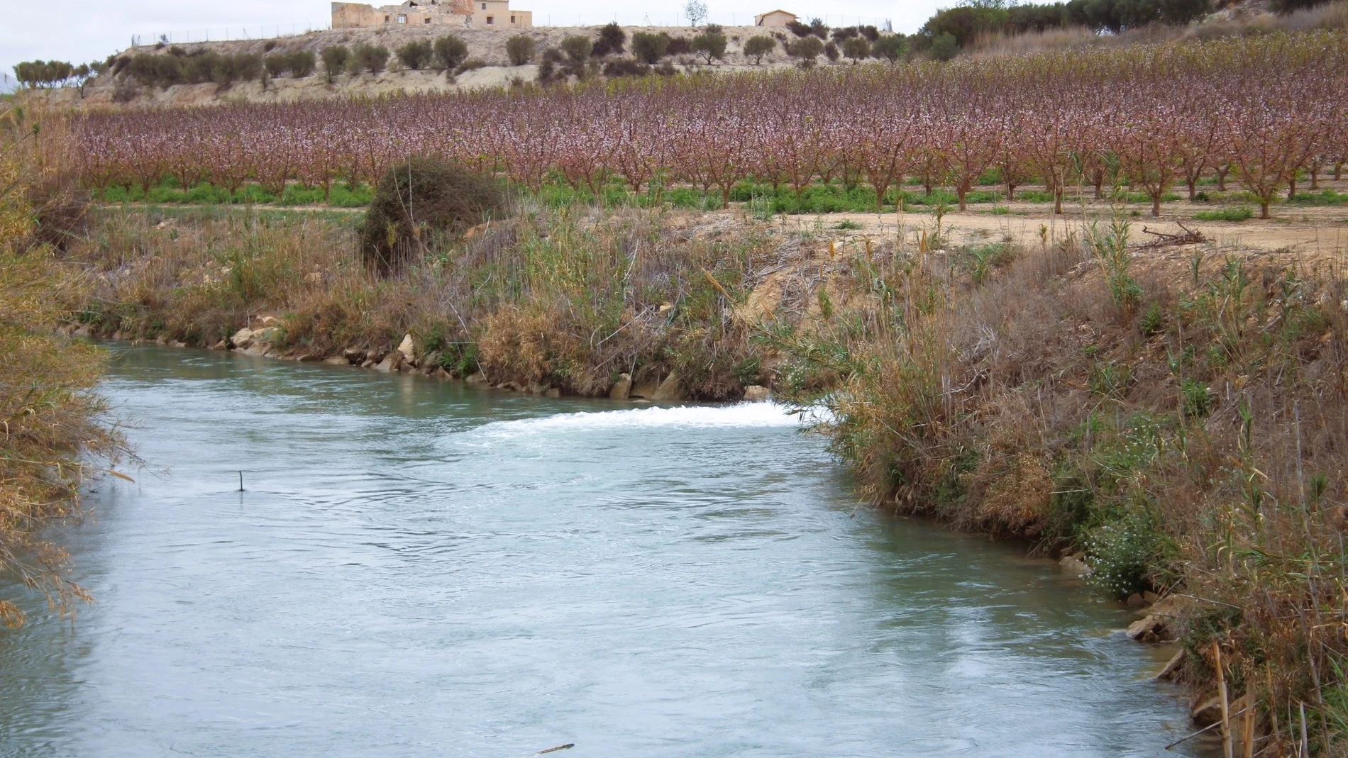 Cauce del río Segura a su paso por Calasparra CHS 22/08/2024