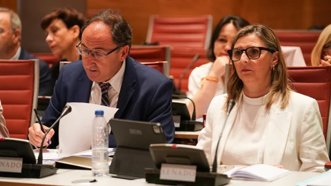 La senadora Estela Darocas