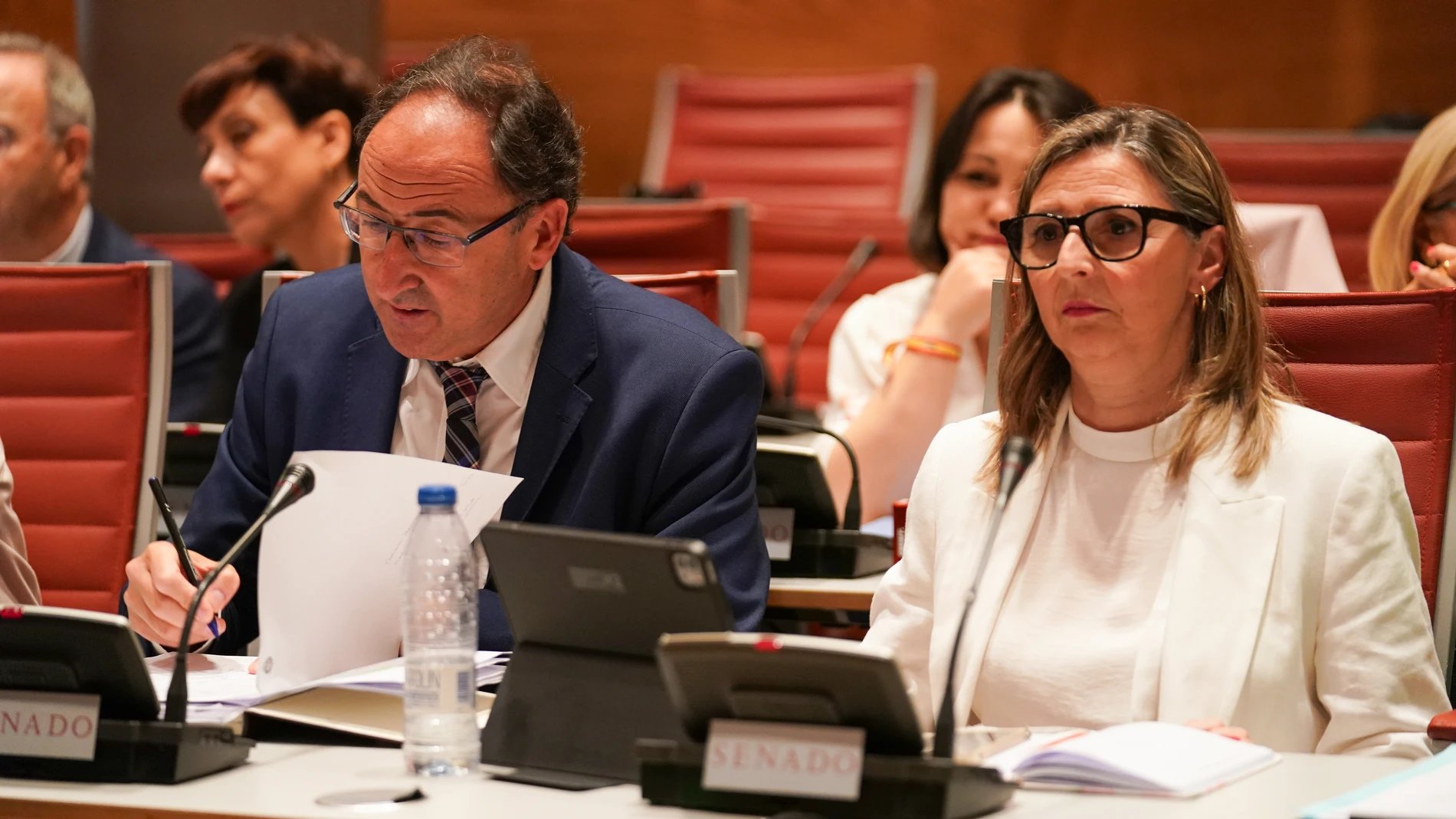 La senadora Estela Darocas