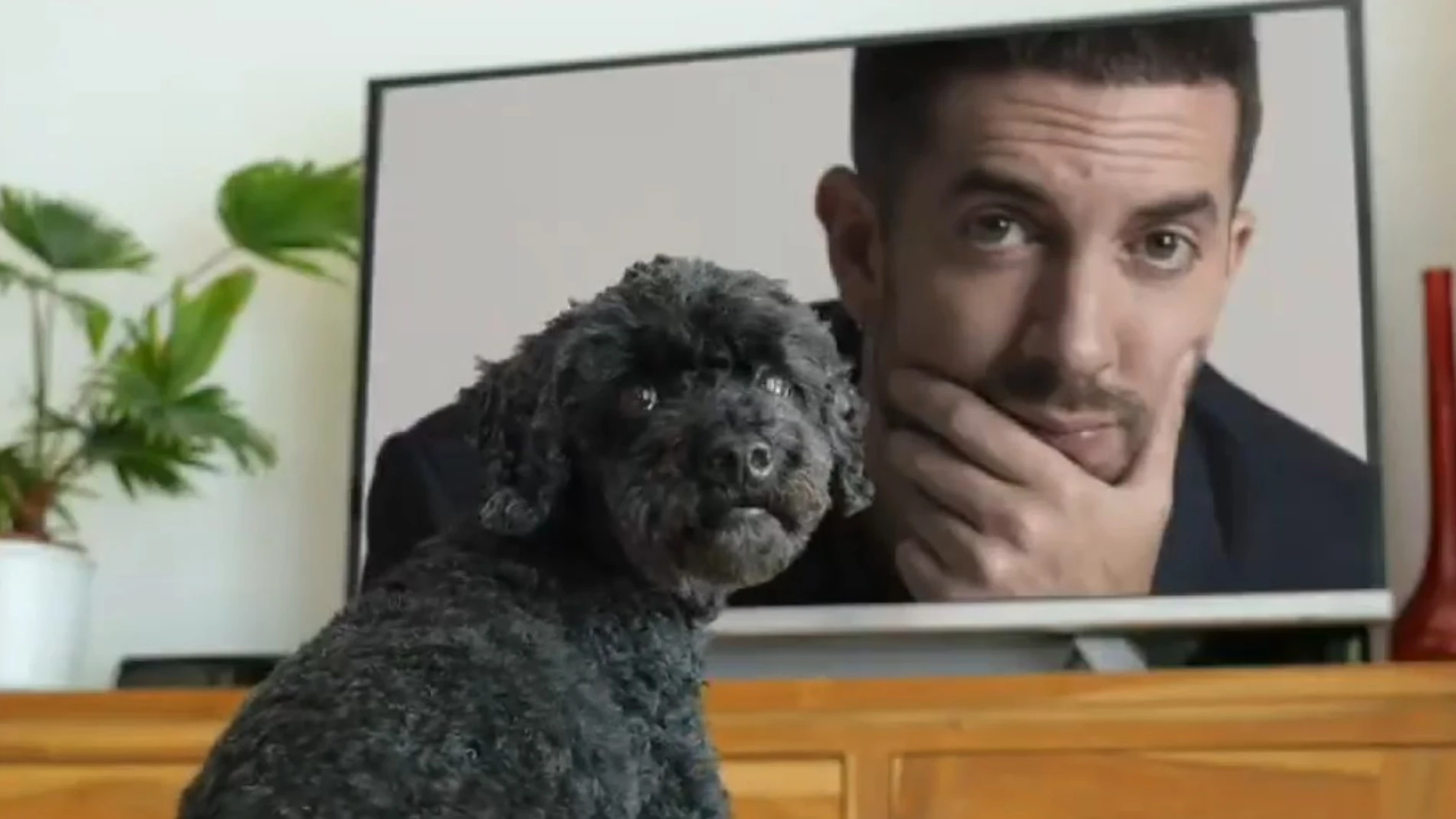 David Broncano sorprende con su humor en la nueva promo de su show en RTVE