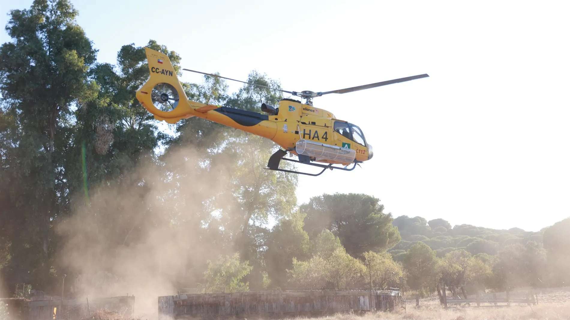 Incendios.-Ingeniero de Montes no ve "necesariamente buena noticia" el descenso y WWF alerta:"Son menos pero más graves"