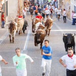 Primer encierro por las calles de Cuéllar