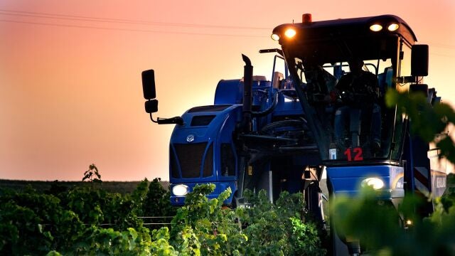 Vendimia Nocturna de la Bodega Cuatro Rayas