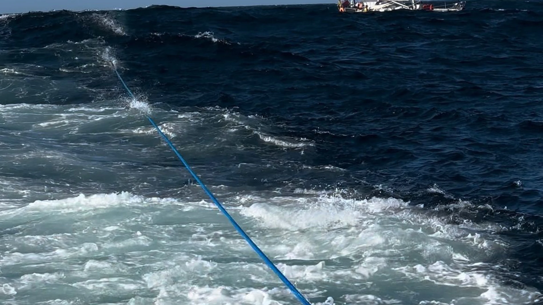 Actuación de Salvamento Marítimo por interacción con orcas de un velero a 6,5 millas de O Roncudo SALVAMENTO MARÍTIMO 26/08/2024