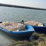 Garrafas de gasolina incautadas por la Guardia Civil en el caño de Sancti Petri, en Chiclana