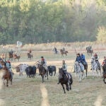 Un herido por asta de toro en un peligroso tercer encierro de Cuéllar