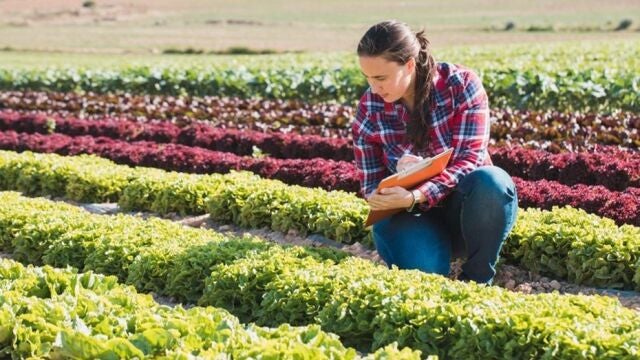 La convocatoria de ayudas incluye una línea de quince millones destinados a mujeres que inicien la actividad agraria