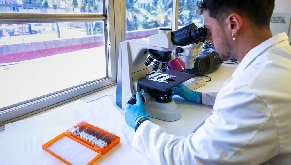 Los científicos trabajarán para la Asociación Española contra el Cáncer