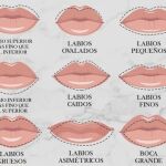 Tipos de labios test personalidad