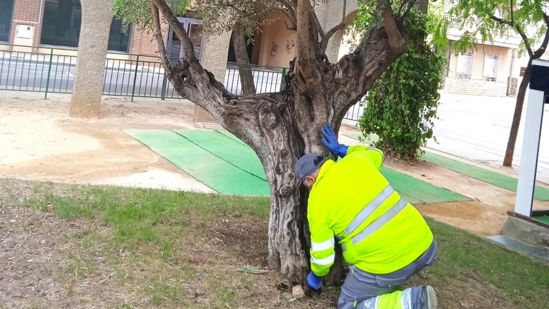 Un operario, durante una acción del plan contra los mosquitos