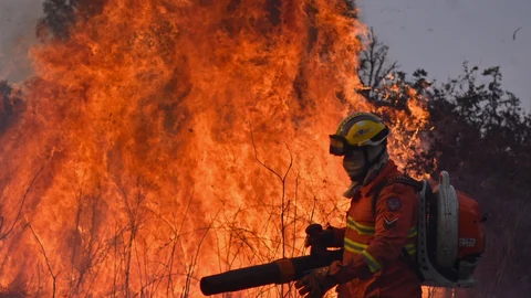 Un brigadista del Instituto Brasilia Ambiental (IBRAM) trabaja en la extinción de un incendio forestal en el Parque Ecológico Burle Marx, este martes en Brasilia (Brasil). Un juez de la Corte Suprema de Brasil ordenó este martes al Gobierno de Luiz Inácio Lula da Silva destinar, en un plazo de 15 días, el "mayor contingente" de militares y policías para combatir la ola de incendios en el Pantanal y la Amazonia.