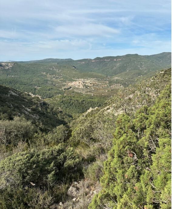  Los corredores se enfrentarán a un trazado que serpentea por los rincones más emblemáticos de Capafonts