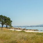 Puente de acceso a la Illa de Arousa (Pontevedra). 