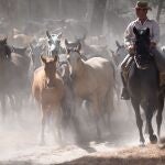  Recogida de las Yeguas de Hinojos