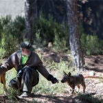 Ejemplares del Centro del Lobo Ibérico de Castilla y León