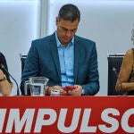 El secretario general del PSOE y presidente del Gobierno, Pedro Sánchez, preside la reunión de la Comisión Eje