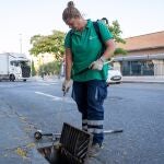 Ocho nuevas infecciones de Virus del Nilo en la provincia de Sevilla, con casos en Gelves, Guillena y Utrera