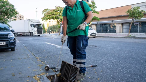 Ocho nuevas infecciones de Virus del Nilo en la provincia de Sevilla, con casos en Gelves, Guillena y Utrera