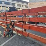 La portavoz del Grupo Municipal Socialista en el Ayuntamiento de Guadalajara, Lucía de Luz