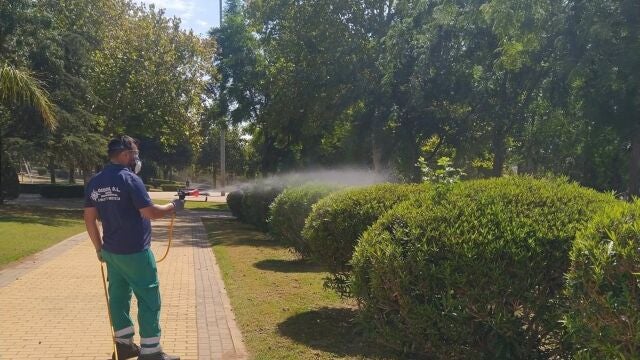 Fumigación contra el mosquito del virus del Nilo