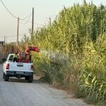 Sevilla.- Fumigación con adulticida contra los mosquitos en Torre de la Reina tras el primer caso de Guillena