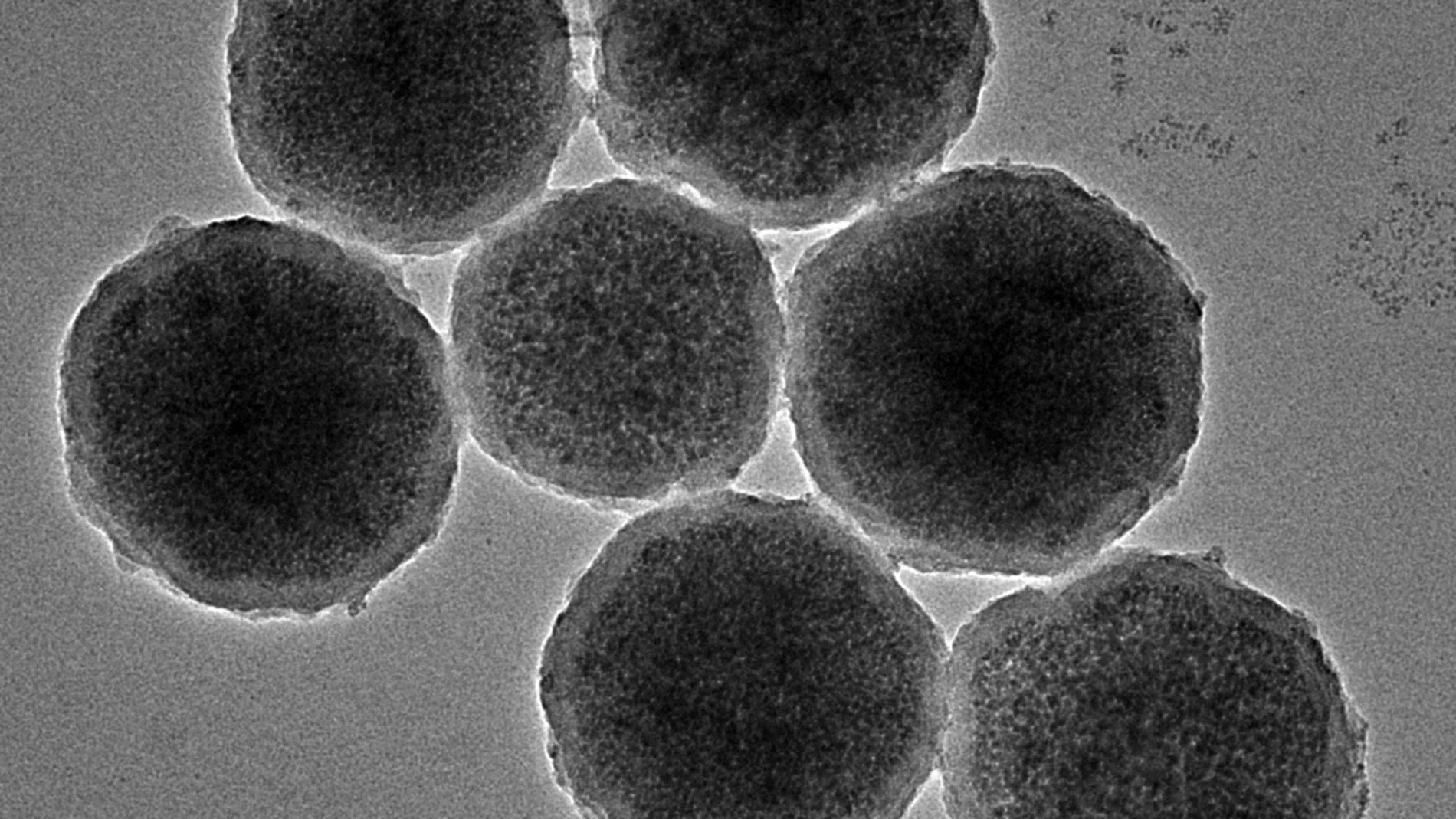 Nanorobots
