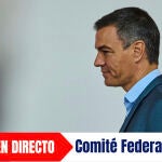 Comité Federal del PSOE