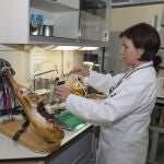 El Laboratorio de Salud Pública de Palencia vigila la presencia de bacterias en los alimentos, las bebidas o las zonas de baño para evitar intoxicaciones