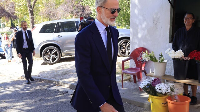 Rey Felipe VI