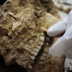Uno de los restos encontrados en el cementerio de Aven de la Boucle