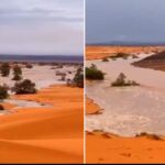 Merzouga, antes y después de las lluvias