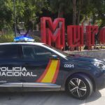 Lla Policía Nacional detiene a 16 personas durante la bajada de la Fuensanta en Murcia