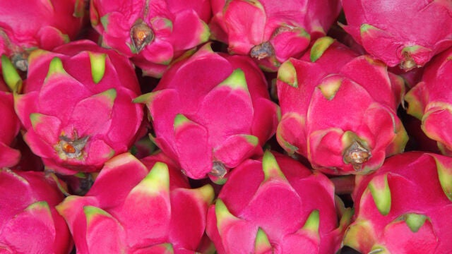La fruta del dragón o pitaya es un alimento exótico conocido como superalimento por su alto contenido en nutrientes y beneficios para la salud