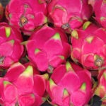 La fruta del dragón o pitaya es un alimento exótico conocido como superalimento por su alto contenido en nutrientes y beneficios para la salud