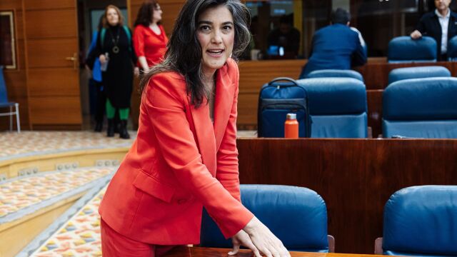 La portavoz de Más Madrid en la Asamblea, Manuela Bergerot