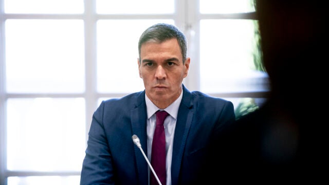 Pedro Sánchez 
