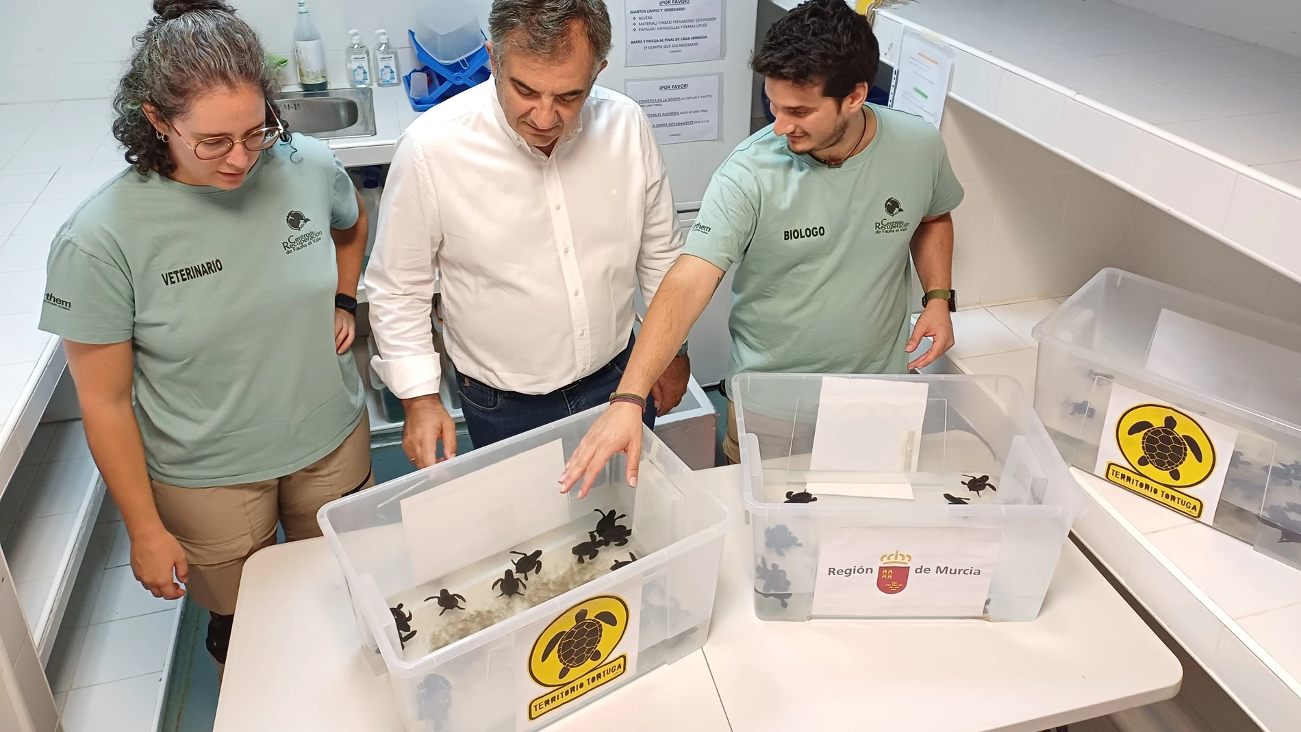 El consejero de Medio Ambiente, Juan María Vázquez, junto a la veterinaria (Andrea) y el biólogo (Mario), que son los que se han hecho cargo del traslado y de las pequeñas tortugas en el CRFS