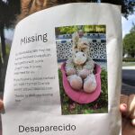 El cartel del peluche desaparecido