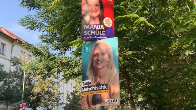 Carteles electorales en Brandeburgo (Alemania)