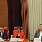 La consellera Paneque durante su intervención en la comisión de Territorio y Vivienda del Parlament, a miércoles 18 de septiembre de 2024