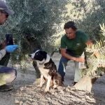 La unidad canina de Andalucía