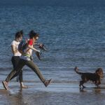 Los humanos convivían desde el Neolítico con perros pequeños que aún conservaban rasgos lobunos, según un estudio