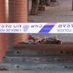 La Policía Nacional ha detenido a una persona por la muerte de un joven de 26 años esta madrugada en el distrito madrileño de San Blas, quien ha sufrido heridas en una axila causadas al parecer por una botella de vidrio. 