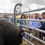 Carlos García observa un ejemplar junto a Alonso Álvarez de Toledo, Sánchez Cabrera y Rubén Serrano, entre otros