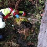 Los bomberos rescatan a dos perros maltratados tirados en un regato en el puerto de la Braguía