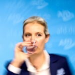 Reacciones del partido político de derechas AfD a los resultados de las elecciones regionales de Brandeburgo