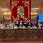 Javier Faúndez durante el Pleno celebrado en la Diputación de Zamora