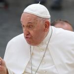 El Papa retoma su agenda con normalidad tras haber cancelado sus compromisos por una "gripe"