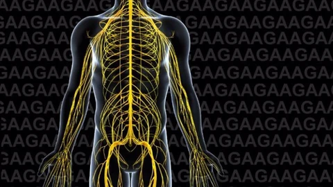La personas con ataxia de Friedreich esperan en torno a 3 años para recibir un diagnóstico, según experta