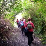 Senderos del Camino de Santiago